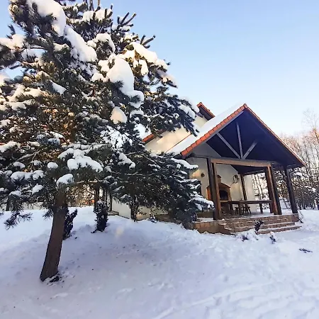 Przytulisko Stara Kiszewa Villa Exterior photo