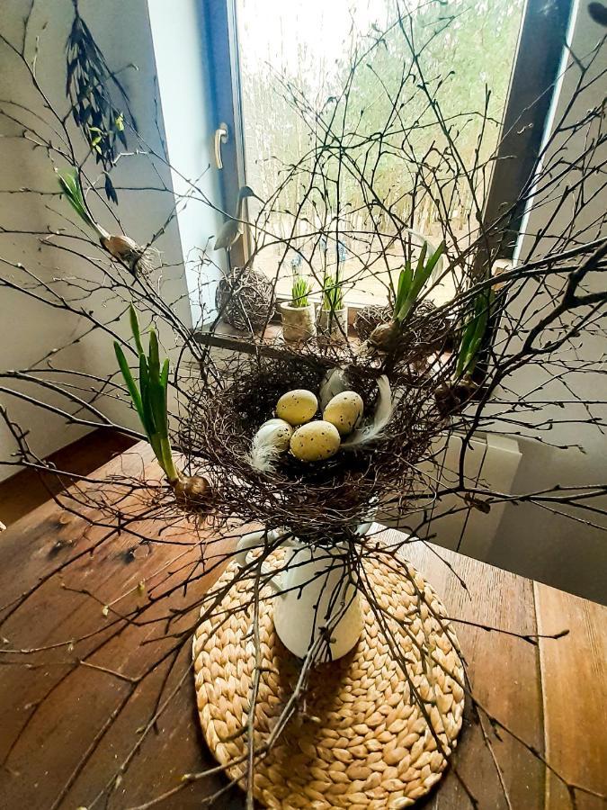 Holiday home Przytulisko Stara Kiszewa