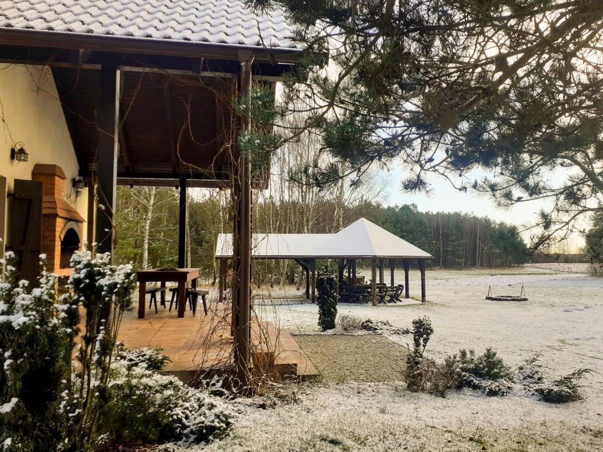 Przytulisko Holiday home