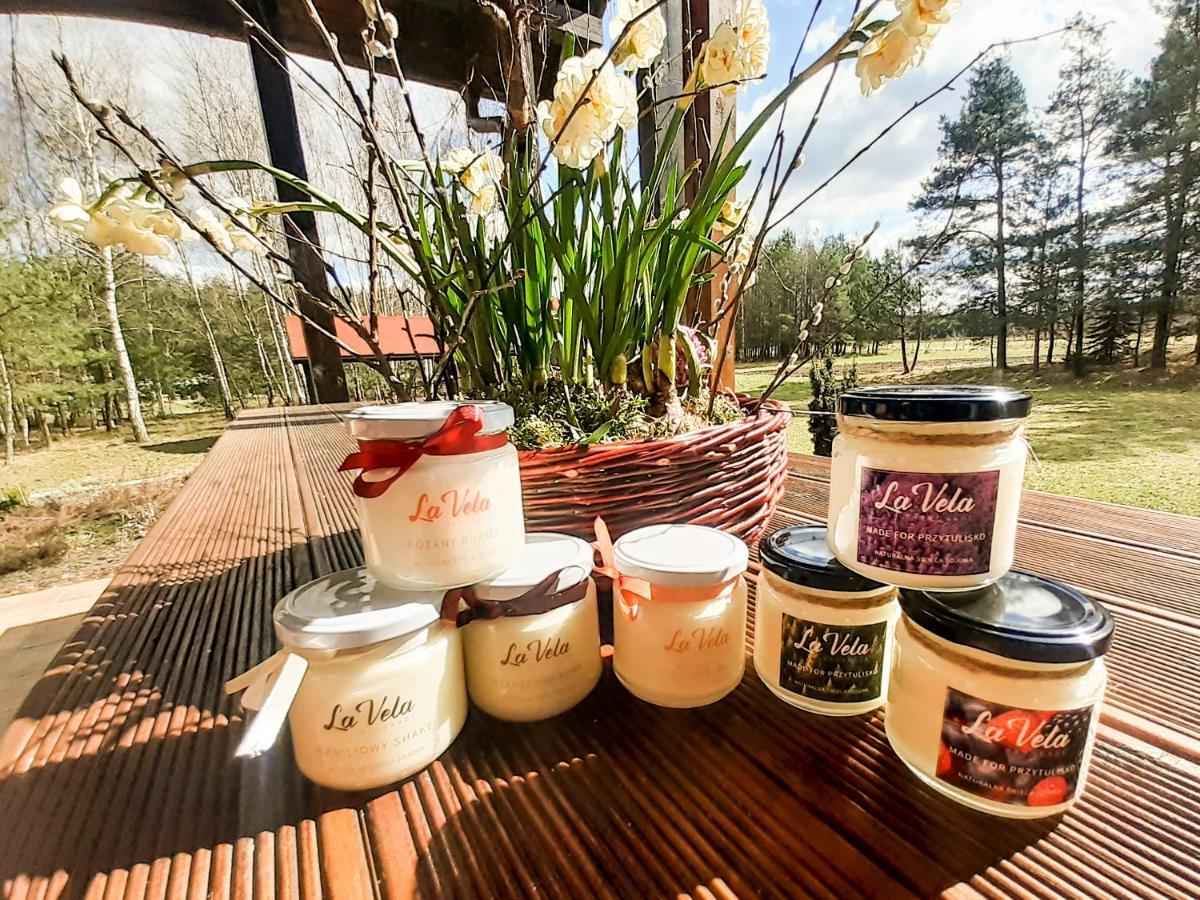 Holiday home Przytulisko Stara Kiszewa