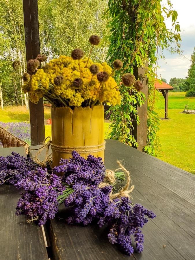 Przytulisko Holiday home
