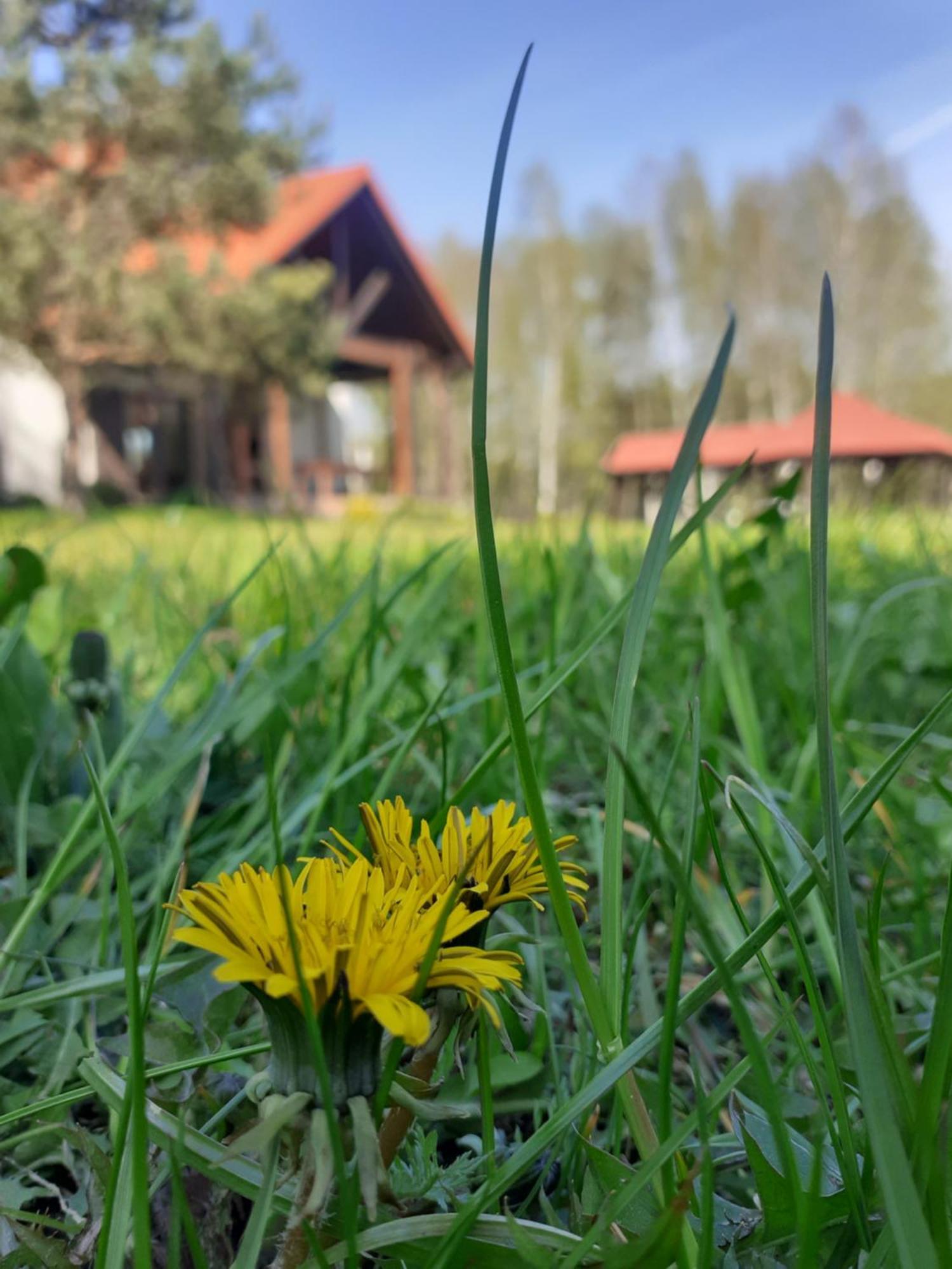Przytulisko Holiday home Stara Kiszewa