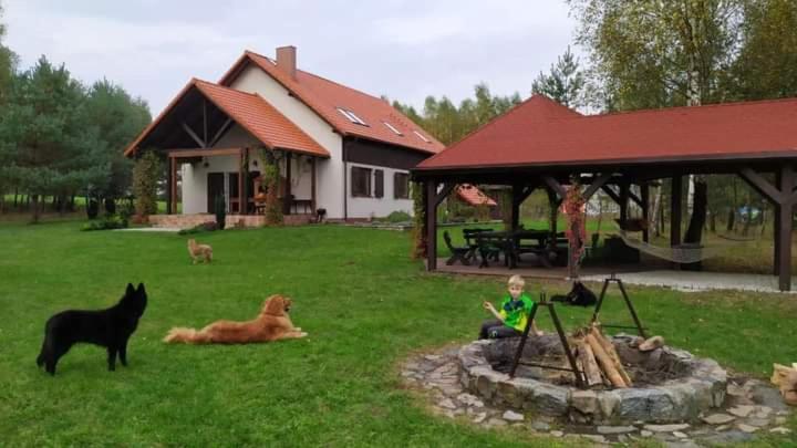 Przytulisko